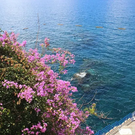 Aparthotel Apartments Madeira Old Town