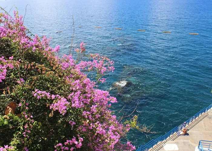 מלון דירות Madeira Old Town